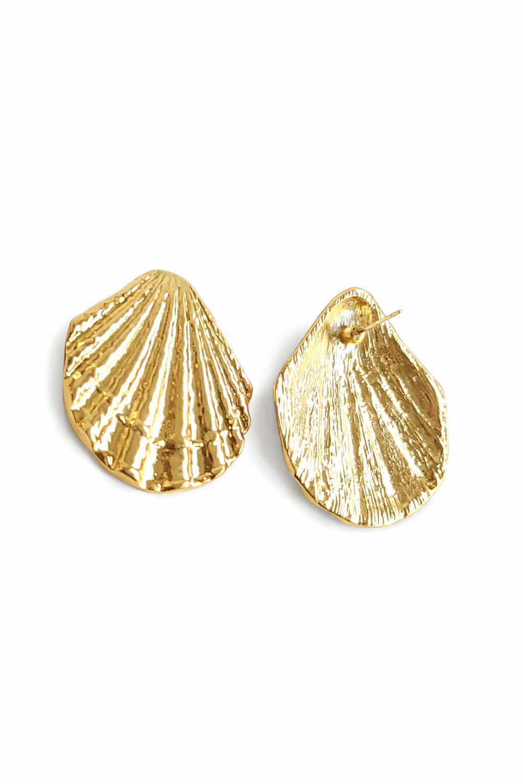 Tidal Shell - Image 2